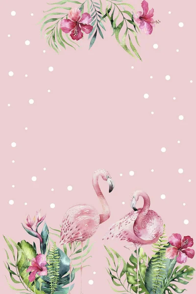 Inviração Tropical Aquarela Desenhada Mão Backgraund Flamingos Ilustrações Pássaros Exóticos — Fotografia de Stock