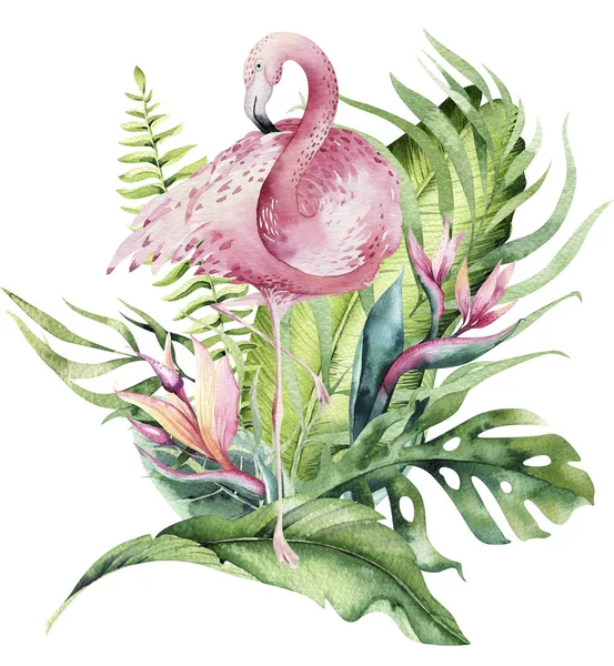 Hand drawn watercolor tropical bird set of flamingo. Exotic rose bird illustrations, jungle tree, brazil trendy. Perfect for fabric design. Aloha collection.