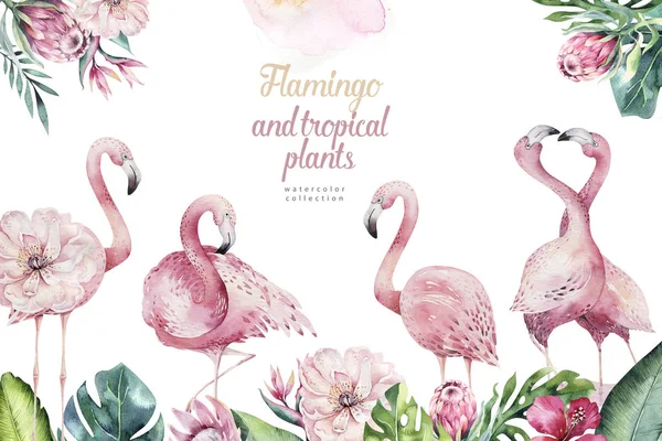 Hand drawn watercolor tropical birds set of flamingos. Exotic rose bird illustrations, jungle tree, brazil trendy. Perfect for fabric design. Aloha collection.