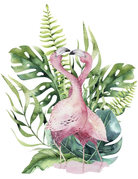 Pássaros Tropicais Aquarela Desenhados Mão Conjunto Flamingos Exotic Rose Bird — Fotografia de Stock