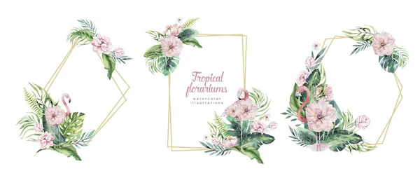 Ručně tažené akvarel tropické zlaté florariums s flamingo. Exotické florarium rám ilustrace pro text, džungle backgraund ideální pro Aloha Pozvánka — Stock fotografie