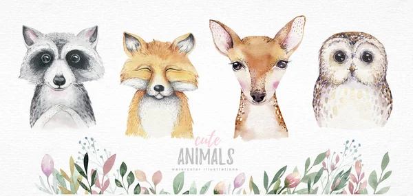 Conjunto de acuarela de dibujos animados del bosque aislado lindo bebé zorro, ciervo, mapache y búho animal con flores. Nursery woodland illustration. Dibujo bohemio boho para carteles infantiles, patrón —  Fotos de Stock