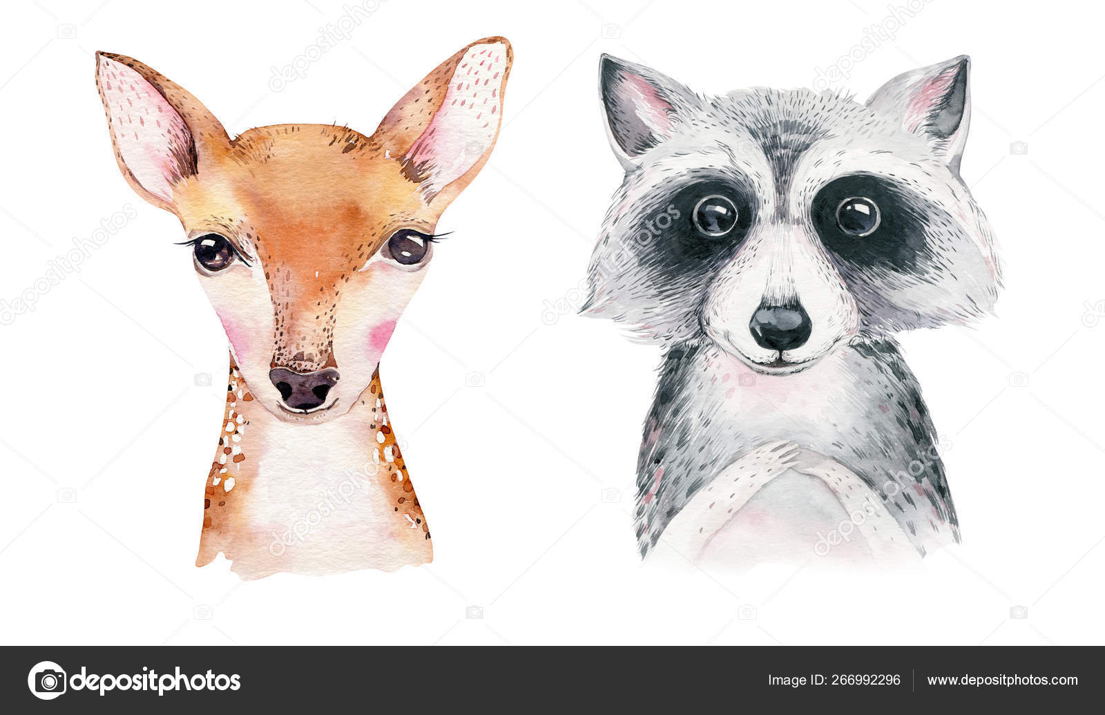 Forest Cartoon Isolated Cute Baby Fox Deer Raccoon Owl Animal