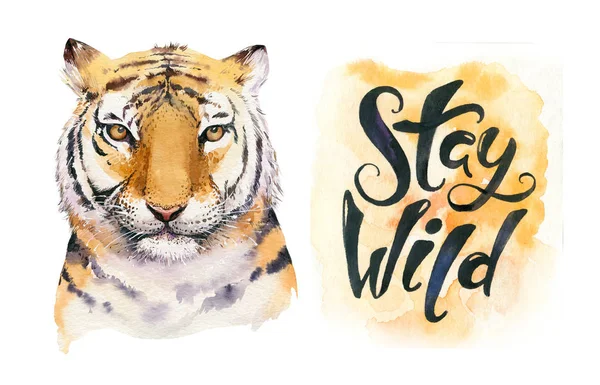 Watercolor Tropical Tiger Animal Isolated Illustration Wild Cat Axotic Animals — Stock Photo, Image