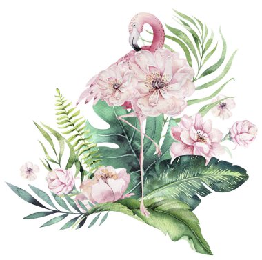 El flamingo suluboya tropik kuş kümesi çekilmiş. Egzotik kuş illüstrasyonlar, Orman ağacı, Brezilya trendy gül. Kumaş tasarım için mükemmel. Aloha koleksiyonu.