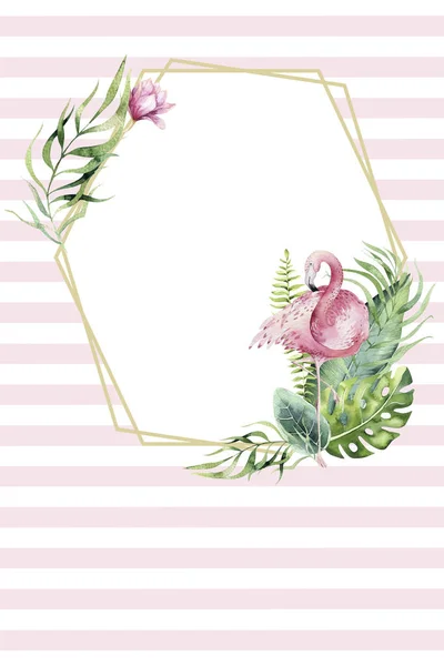 Kézzel Rajzolt Akvarell Trópusi Arany Florariums Flamingo Egzotikus Florarium Keret — Stock Fotó