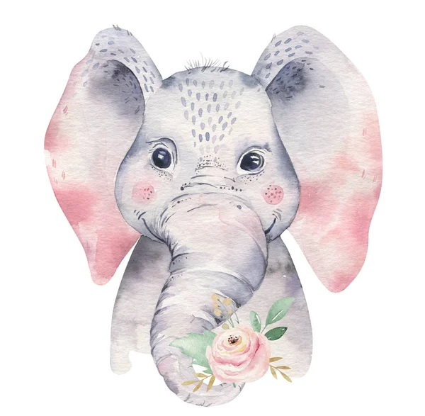 A poster with a baby elephant. Watercolor cartoon elephant tropical animal illustration. Jungle exotic summer design