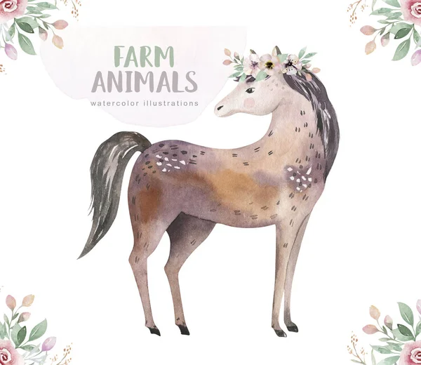 Farms Animal Set Cute Domestic Pets Watercolor Illustration Horse Goose — Stock Photo, Image