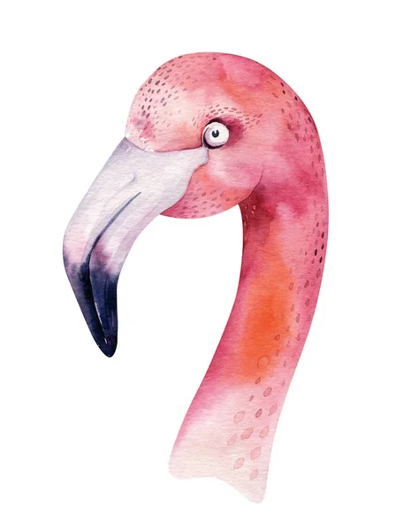 Handgezeichnetes Aquarell Tropischer Flamingo Vogel — Stockfoto