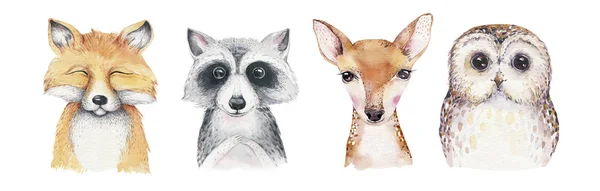 Watercolor Set Forest Cartoon Isolated Cute Baby Fox Deer Raccoon — Stock Photo, Image