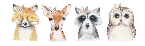 Watercolor Set Forest Cartoon Isolated Cute Baby Fox Deer Raccoon — Stock Photo, Image