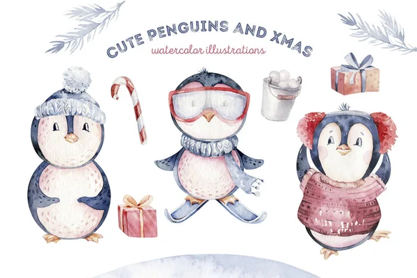 Akvarell Boldog Karácsonyt Karakter Pingvin Illusztráció Téli Rajzfilm Elszigetelt Aranyos — Stock Fotó