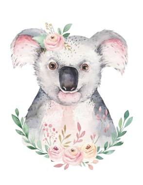 Koalalı modaya uygun bir poster. Suluboya çizgi film koala tropikal hayvan çizimi. Orman egzotik yaz baskısı.