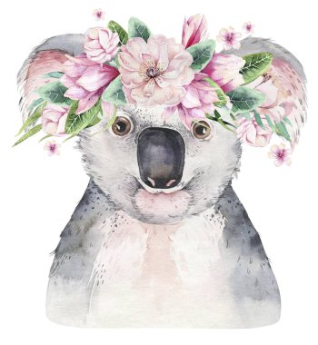 Koalalı modaya uygun bir poster. Suluboya çizgi film koala tropikal hayvan çizimi. Orman egzotik yaz baskısı.