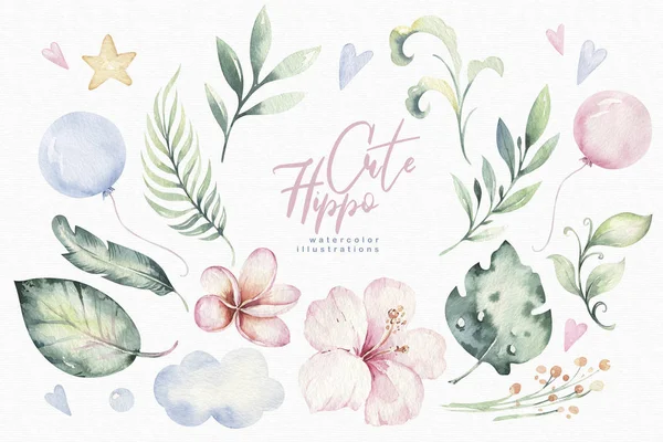 Hand drawn watercolor tropical flower set . Exotic palm leaves, jungle tree, brazil tropic botany elements and flowers. Perfect for fabric design. Aloha collection.