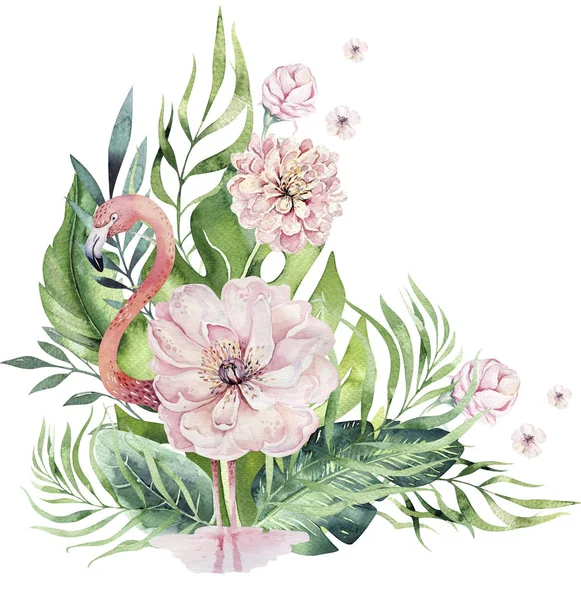 Handgezeichnete Aquarell Tropischen Vogel Satz Von Flamingo Exotische Rosenvogel Illustrationen — Stockfoto
