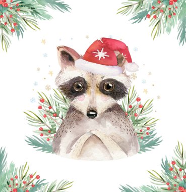 Suluboya sevimli bebek rakun karikatür hayvan portre tasarımı. Beyaz arka planda kış tatili kartı. Yeni yıl dekorasyon, mutlu noel elemanları