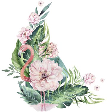 El flamingo suluboya tropikal kuşlar set çekilmiş. Egzotik kuş illüstrasyonlar, orman ağacı, Brezilya trendy gül. Kumaş tasarım için mükemmel. Aloha koleksiyonu.