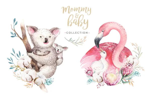 Watercolor Illustration Cute Mommy Flamingo Baby Flovers Ribbon Leaves Royalty Free Stock Images