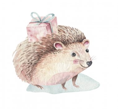Noel Woodland orman bebek karikatür sevimli kirpi hayvan karakteri seti. Kış rakun noel ağacı çiçek elemanları, buketleri, çilek, fllowers, kar ve kar taneleri, poster