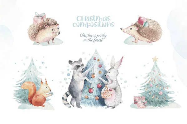 Állítsa be a karácsonyi erdők erdei rajzfilm sündisznó, aranyos mókus, egér, nyúl állat karakter. Téli mosómedve karácsonyfa virágos elemek, csokrok, bogyók, flol, hó és hópelyhek, — Stock Fotó