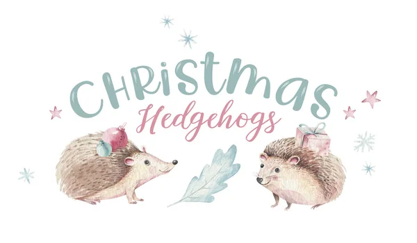 Set of Christmas Woodland forest cartoon baby cute hedgehog animal character. Winter raccoon christmas tree floral elements, bouquets, berries, fllowers, snow and snowflakes, poster — Stock Image Set of Christmas Woodland forest cartoon baby cute hedgehog animal character. Winter raccoon christmas tree floral elements, bouquets, berries, fllowers, snow and snowflakes, poster Royalty Free Stock Photos
