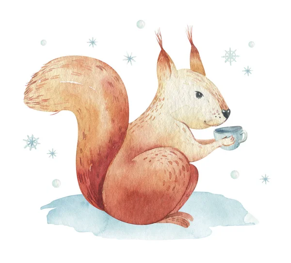 Set van Kerstmis bos bos cartoon egel, schattige eekhoorn, muis, Bunny Hare dierlijke karakter. Winter wasbeer kerstboom Floral elementen, boeketten, bessen, flultjes, sneeuw en sneeuwvlokken, — Stockfoto