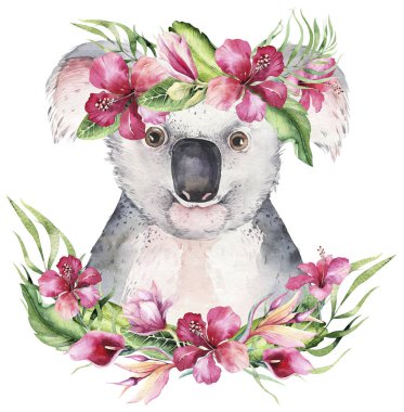 Koalalı bir poster. Suluboya karikatür koala tropikal hayvan illüstrasyon. Orman egzotik yaz baskı.