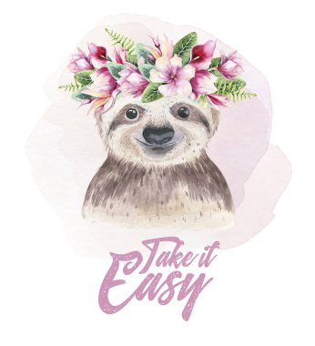 Bebek tembelliği olan bir poster. Suluboya karikatür tembel tropikal hayvan illüstrasyon. Orman egzotik yaz baskı.