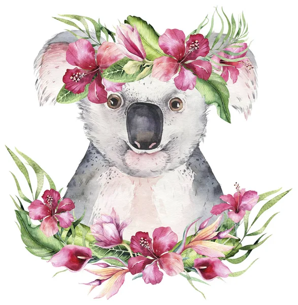 Ein Plakat mit einem Koala. Aquarell Karikatur Koala tropischen Tier Illustration. Dschungel exotischer Sommerdruck. — Stockfoto