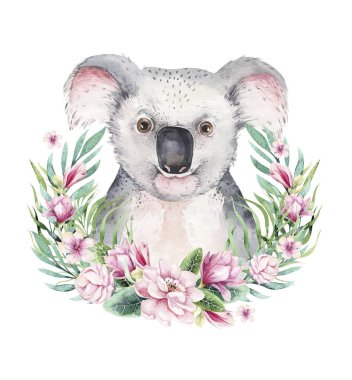 Koalalı bir poster. Suluboya karikatür koala tropikal hayvan illüstrasyon. Orman egzotik yaz baskı.