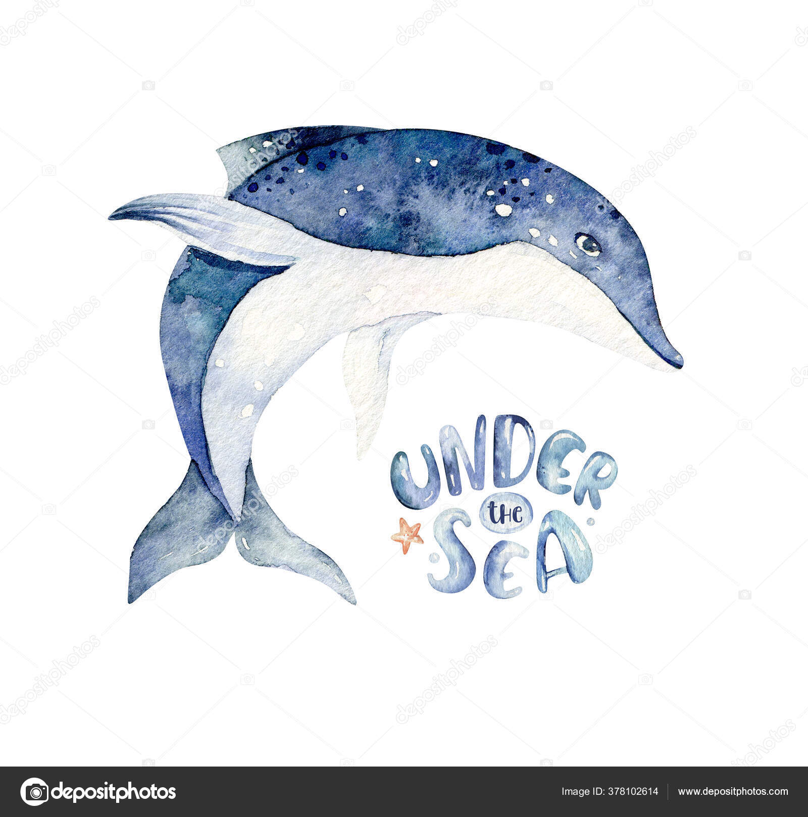 一组海洋动物蓝色水色的海鱼鲸鱼和珊瑚贝壳水族馆背景航海海豚海洋图解 图库照片 C Mykef