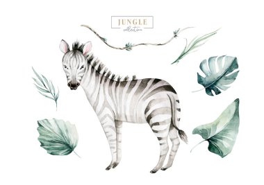 El yapımı suluboya tropikal zebra süslemesi. Egzotik savana çizimleri, hayvanat bahçesi orman ağacı, Brezilya moda sanat eserleri. Kumaş tasarımı için mükemmel.