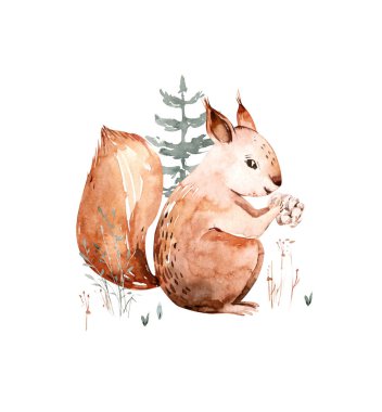 Woodland suluboya şirin hayvanlar yavru sincap. İskandinav sincap ormanı bebek odası poster tasarımı. İzole edilmiş tüzük.