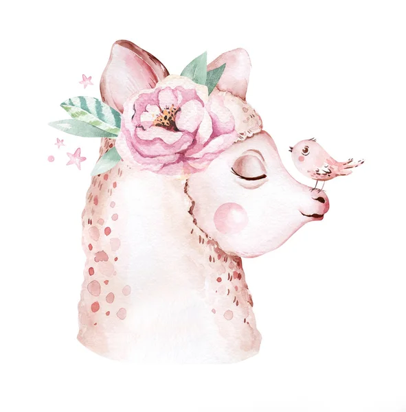 Lama aquarela bonito, ilustração alpaca isolado em branco. Llama impressão manta étnica, flores grinalda, buquê floral e boho decoração mexicana — Fotografia de Stock