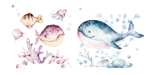 Sada Mořských Živočichů Modrá Akvarel Oceánské Ryby Želvy Velryby Korály — Stock fotografie