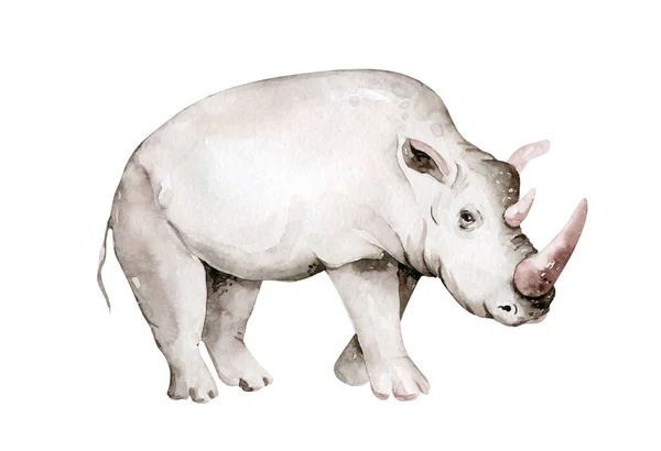 수채 색 아프리카 코뿔소는 흰 바탕에 따로 분리되어 있다. 사바나 야생 동물의 동물원 사파리 포스터. 정글 장식 — 스톡 사진