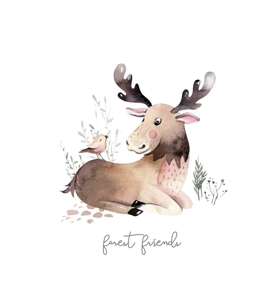 林地水彩画可爱的动物宝宝麋鹿 斯堪的纳维亚麋鹿森林苗圃招贴画设计 孤立的碎屑罐 — 图库照片