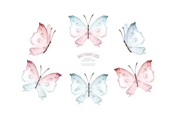 Acquerello Farfalle Colorate Isolato Sfondo Bianco Illustrazione Primaverile Blu Gialla — Foto Stock