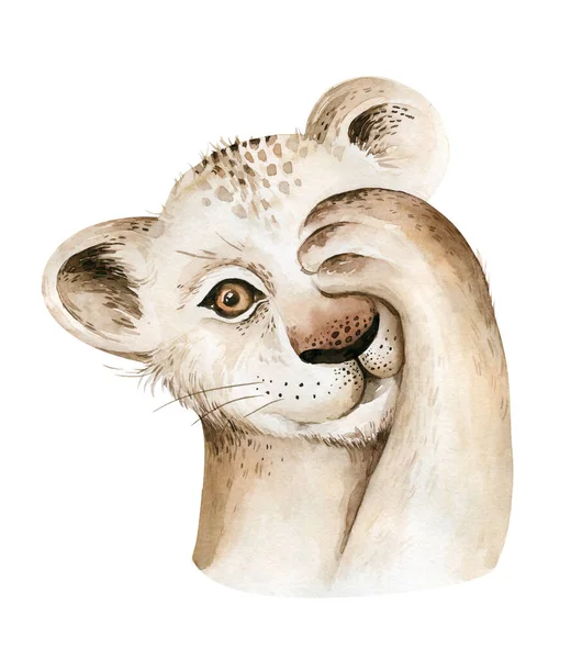 Africa Watercolor Savanna Lion Animal Illustration African Safari Wild Cat Stock Picture