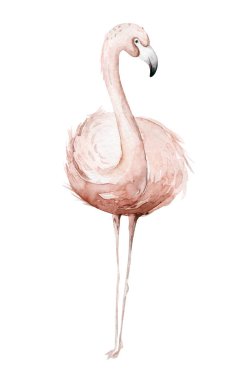 El yapımı flamingo suluboya tropikal kuş seti flamingo. Egzotik kuş çizimleri, orman ağacı, Brezilya modası sanatı. Kumaş tasarımı için mükemmel. Aloha koleksiyonu.