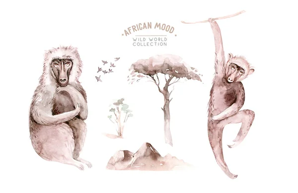 Watercolor collection of different monkeys isolated on white background. Wild animals of Africa.