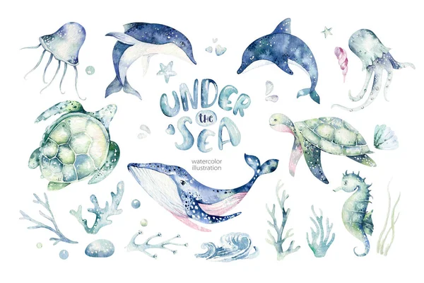 Set of sea animals. Blue watercolor ocean fish, turtle, whale and coral. Shell aquarium background. Nautical dolphin marine illustration, jellyfish, starfish