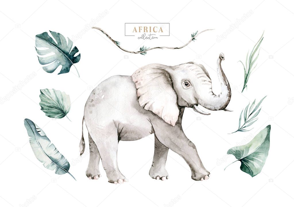 Watercolor frican elephant animal isolated on white background. Savannah wildlife cartoon zoo safari poster. Jungle decoration.