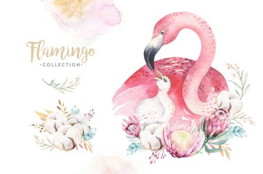Şirin anne flamingo ve bebek çiçekli suluboya çizgi film çizimleri. Anne ve bebek resimli kuş tasarımı. Tropik anne kuş dekorasyonu