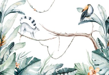 Beyaz arka planda bir lemur ve tukan resmedilmiş suluboya orman çizimi. Madagaskar Hayvanat Bahçesi Egzotik Lemurlar Hayvanat Bahçesi. Tropik tasarım posteri.