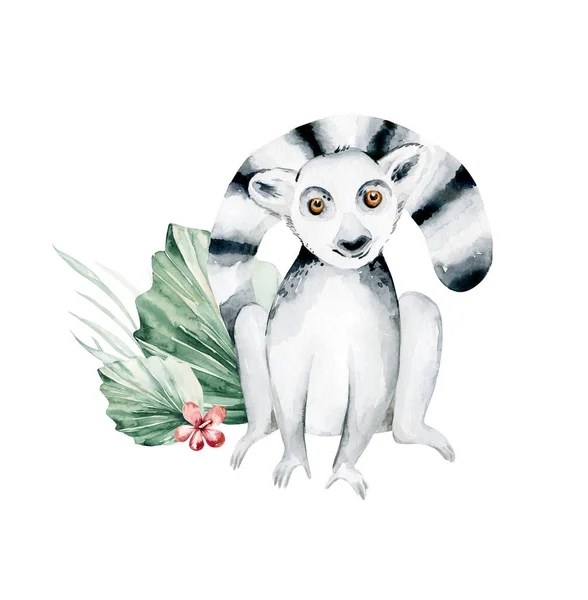 Akvarel Ilustrace Kočičí Lemur Bílém Pozadí — Stock fotografie