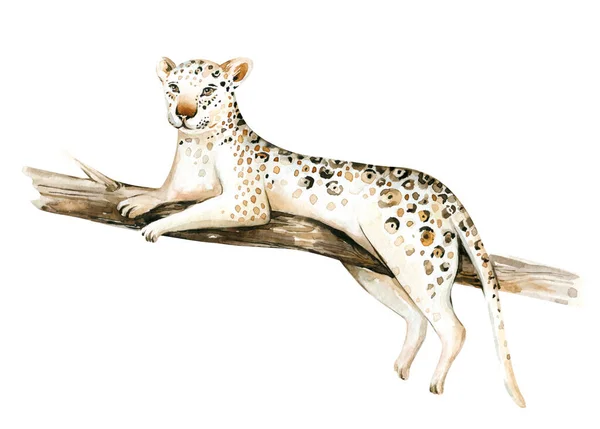 Watercolor Painting Gepard Wild Cat Isolated White Background Africa Safari — Stock Photo, Image