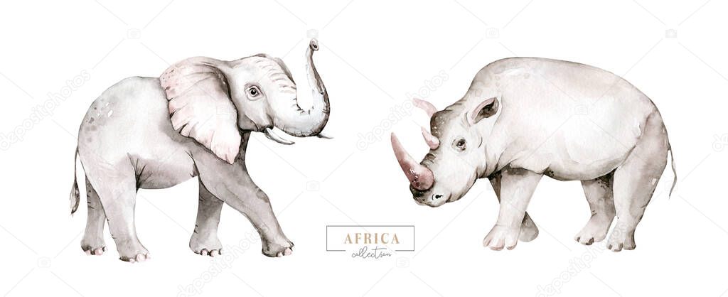 Watercolor frican elephant animal isolated on white background. Savannah wildlife cartoon zoo safari poster. Jungle decoration.