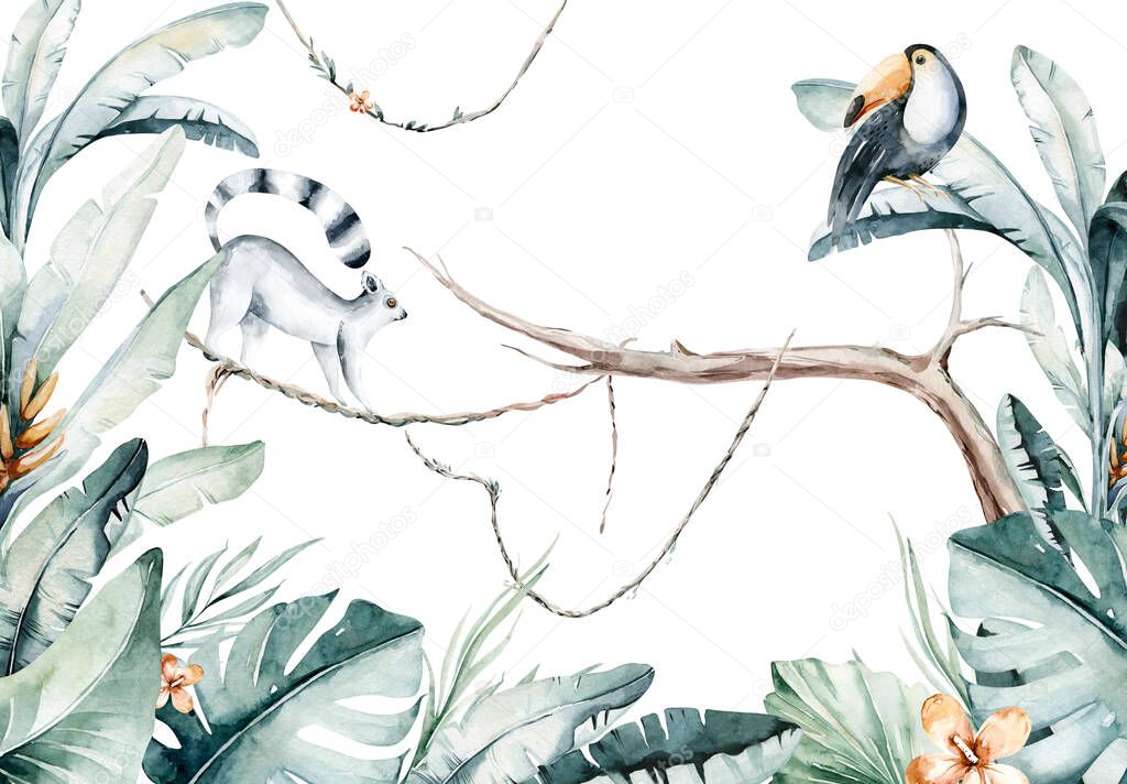 Watercolor jungle illustration of a lemur and toucan on white background. Madagascar fauna zoo exotic lemurs animal. Tropical design poster.